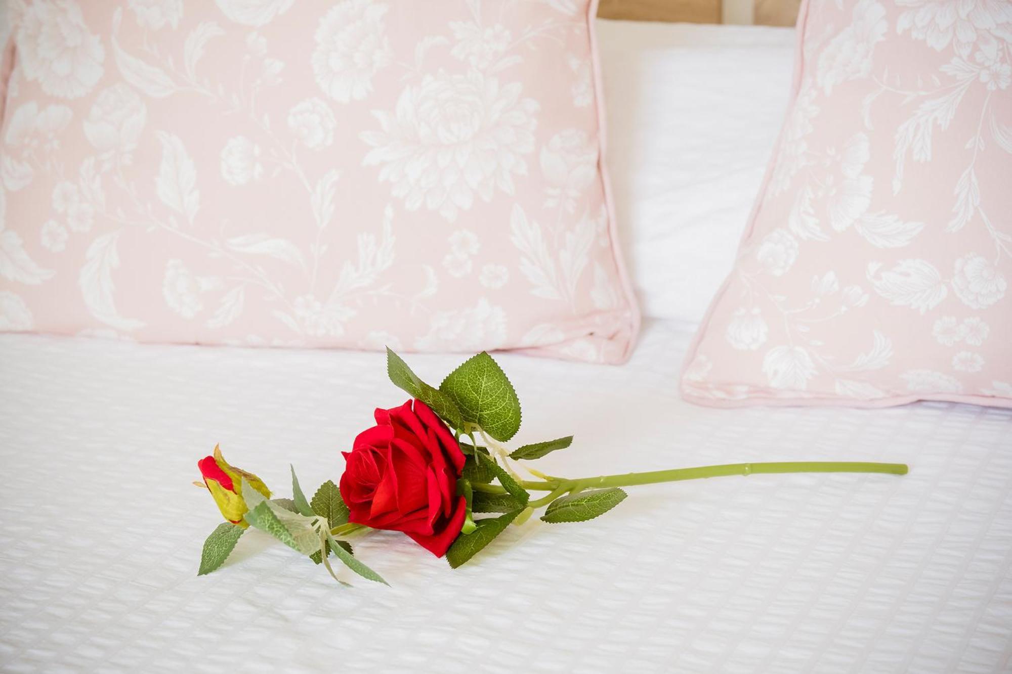 Estella By Vive La Exclusividad Puertito de Guimar Ngoại thất bức ảnh